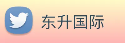 东升国际 Logo